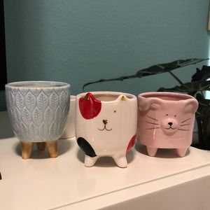 Small plant pots 🪴